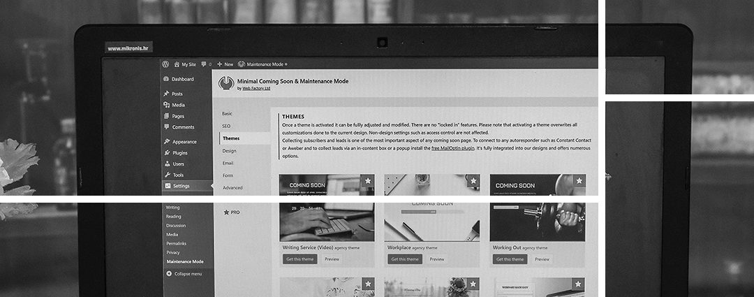 5 Reasons to Choose WordPress in South Africa